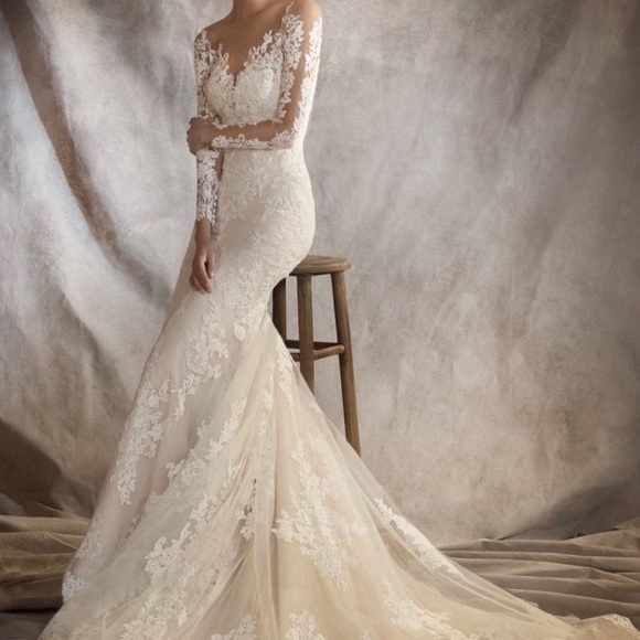 Pronovias Wedding dress + veil - Picture 3 of 8